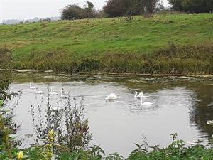 Photo 763131