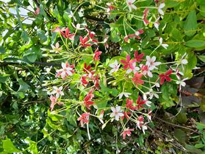 Photo 774999