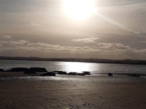 Photo 782933