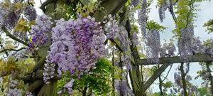 Photo 794812