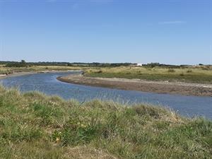 Photo 827442