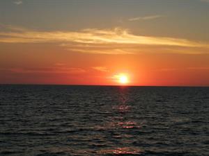 Photo 881394